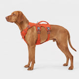 Dog Harness No Pull with Padded Handle Escape Proof Waterproof Vest