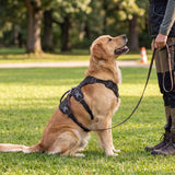 Dog Harness No Pull with Padded Handle Escape Proof Waterproof Vest