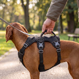Dog Harness No Pull with Padded Handle Escape Proof Waterproof Vest