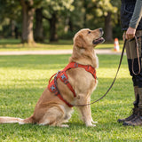 Dog Harness No Pull with Padded Handle Escape Proof Waterproof Vest