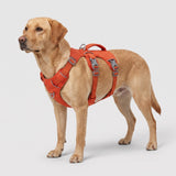 Dog Harness No Pull with Padded Handle Escape Proof Waterproof Vest