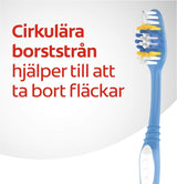 Colgate Premier Toothbrush Medium 8 Pack (2x4) Removes Stains Multicolour New
