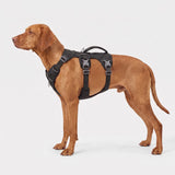Dog Harness No Pull with Padded Handle Escape Proof Waterproof Vest