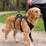 Dog Harness No Pull with Padded Handle Escape Proof Waterproof Vest