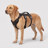 Dog Harness No Pull with Padded Handle Escape Proof Waterproof Vest