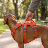 Dog Harness No Pull with Padded Handle Escape Proof Waterproof Vest